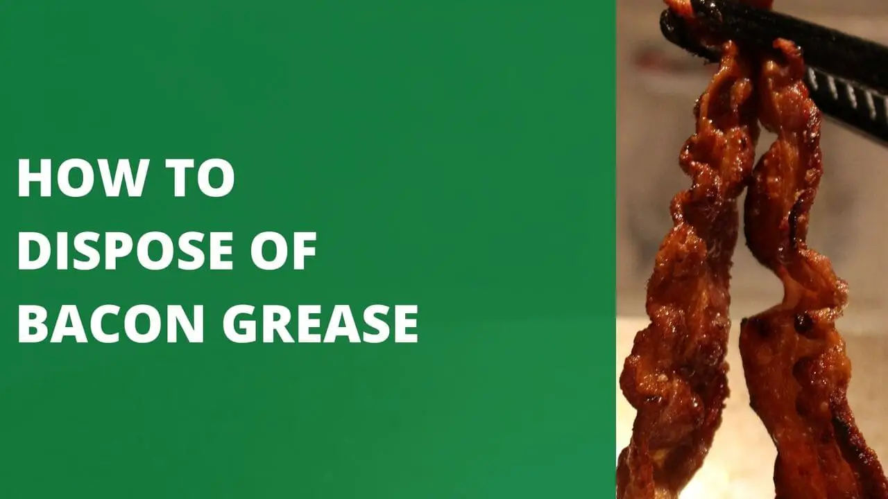 Eco-Tips: How To Dispose Bacon Grease Efficiently and Correctly