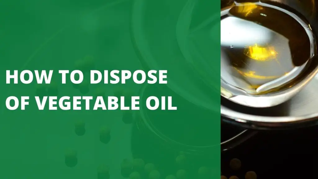 How To Dispose Of Vegetable Oil 5 Best Options To Consider   Oil 1024x576 