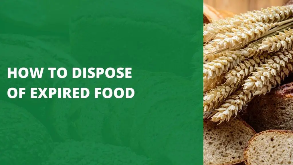 how-to-dispose-of-expired-food