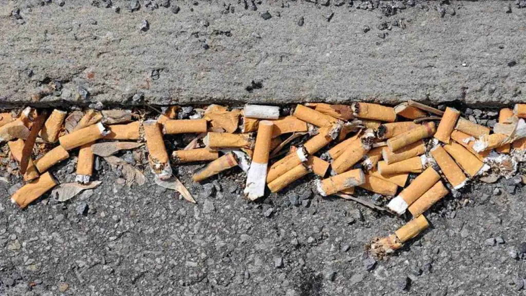 cigarette waste